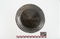 Foto von Bronzephalere (NHMW-PRAE-025079)